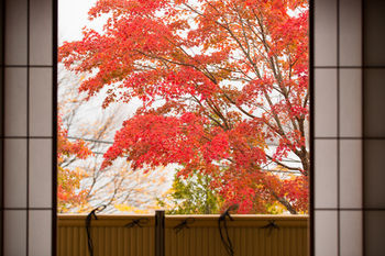 Hoshino Resorts Kai Никко Экстерьер фото